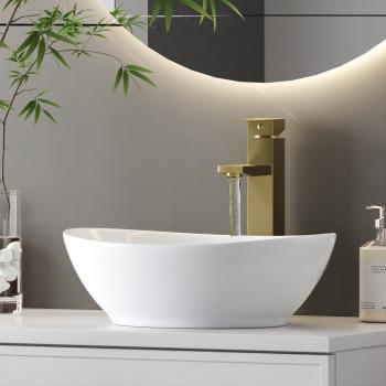 GAVI-01-ZL-CAM-310001